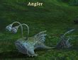 ffxiv angler timer.